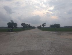 Jalan Pramoedya Ananta Toer Bakal Diresmikan Simbol Kebanggaan dan Harapan Baru Masyarakat Blora